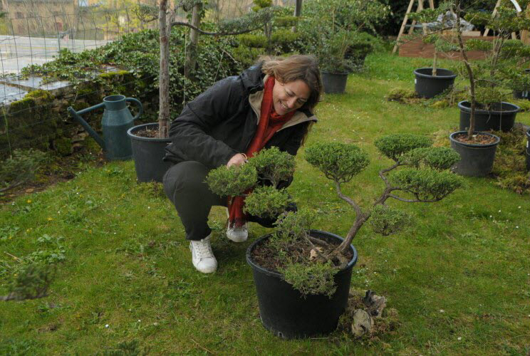 Magalie Aidinian qui entretien ses Niwakis à l'exposition des plantes rares et arts du jardin. Photo Progrès/Jean Luc TORREQUADRA